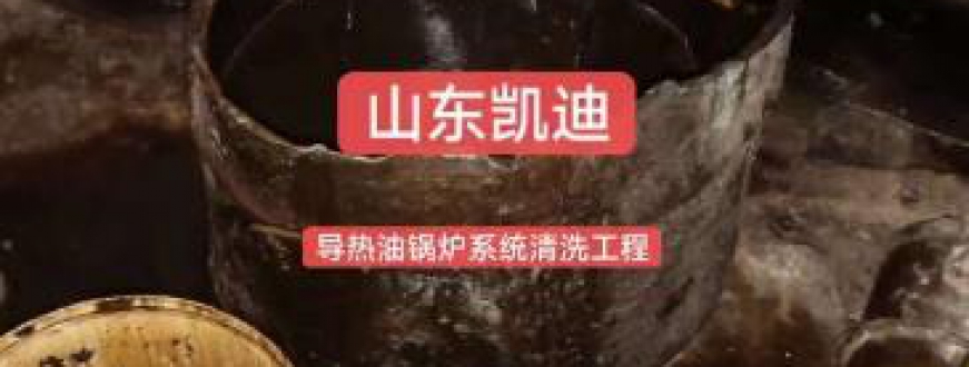 2023年7月9日河北香河25吨导热油锅炉系统整体清洗结束