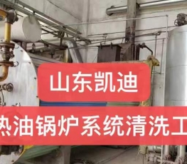 河北唐山30吨导热油锅炉系统整体清洗