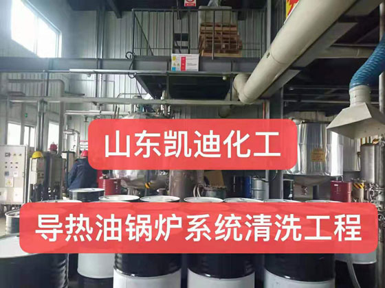 山东凯迪