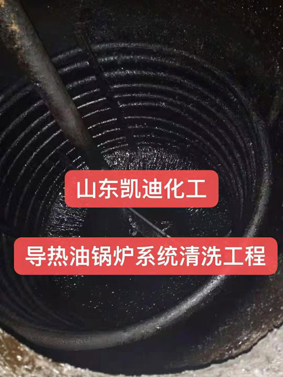 山东凯迪