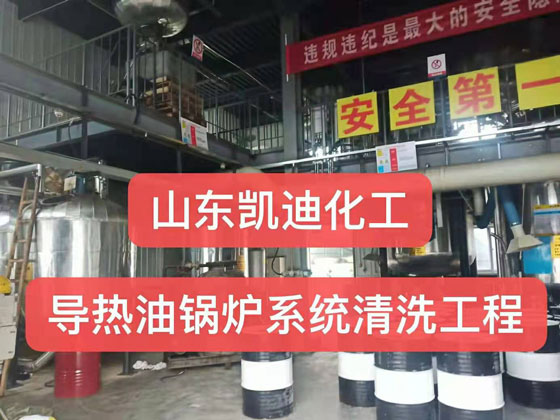 山东凯迪