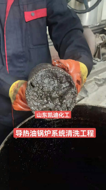 山东凯迪