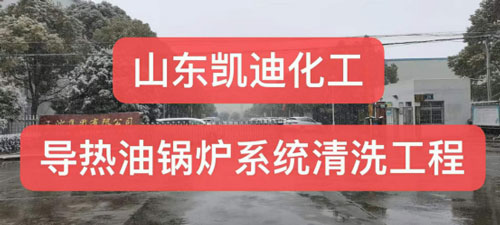 山东凯迪